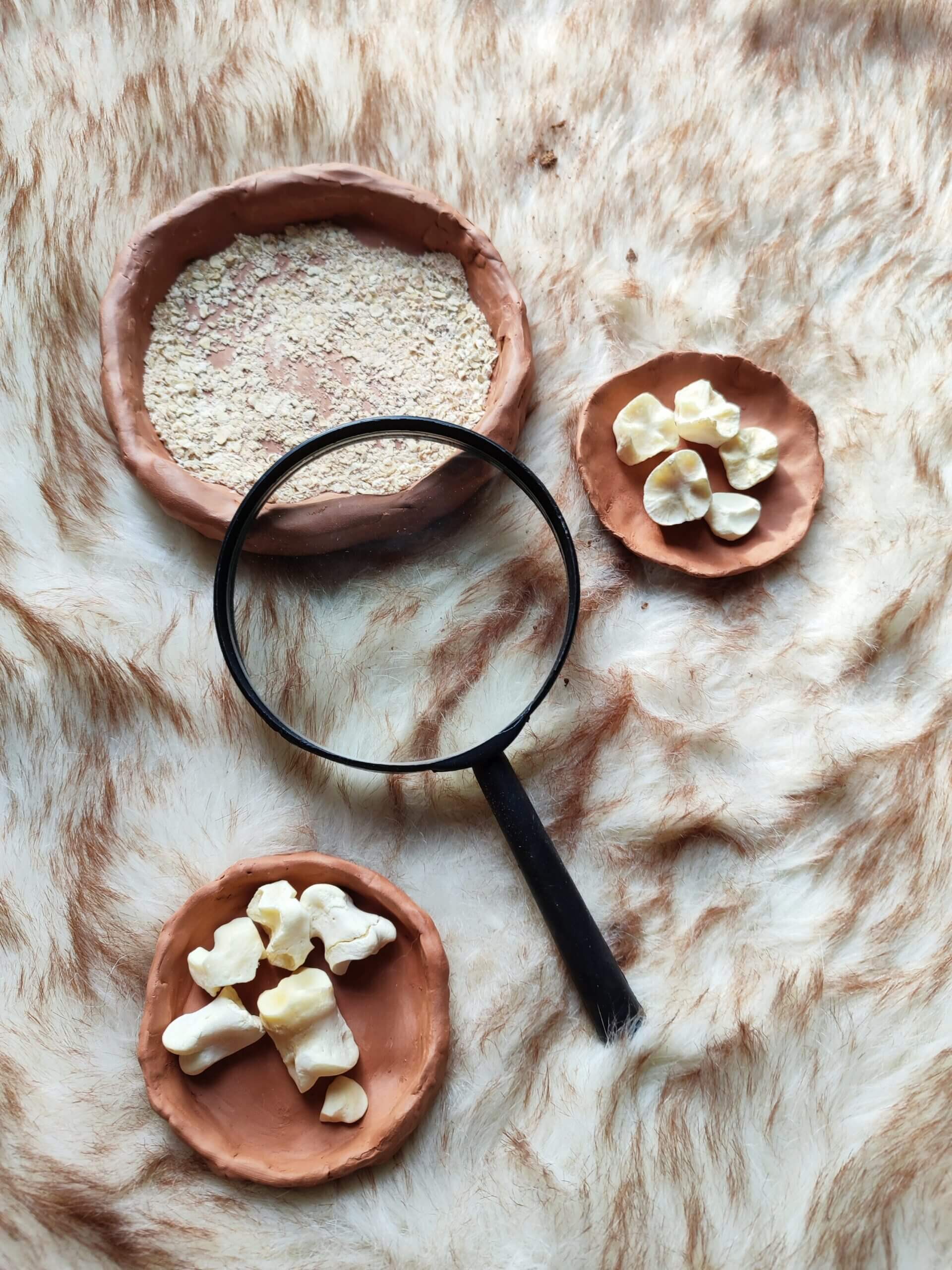 BiologiaArqueologiaSite scaled