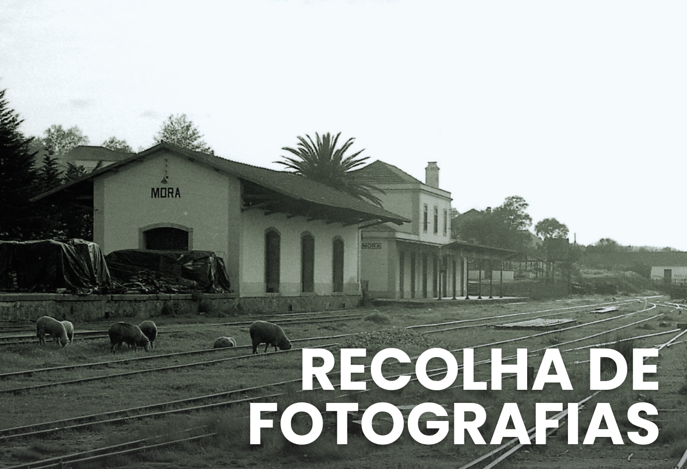 Fotografias MMM Cartaz e1668700989121