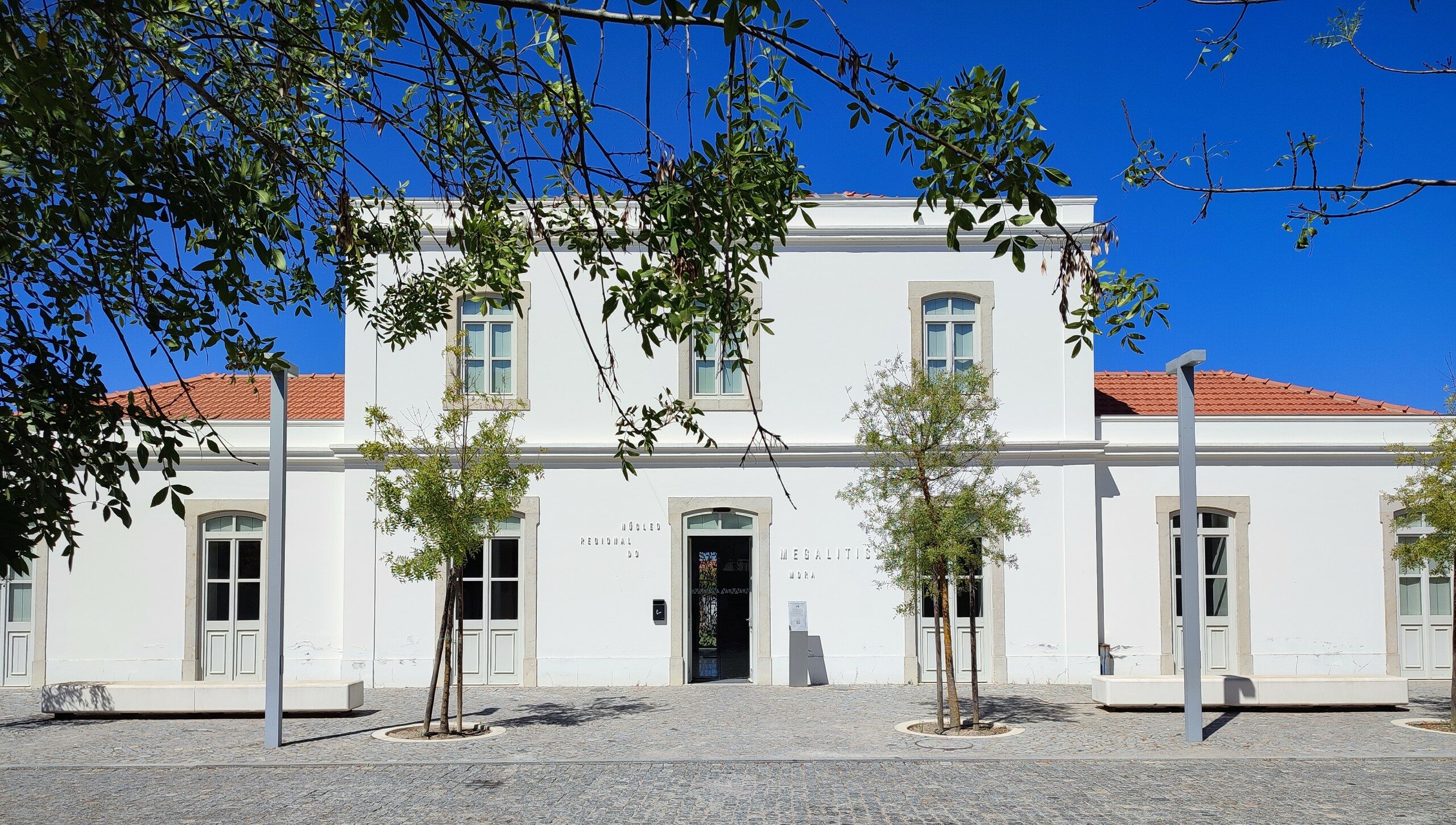 MuseuSite e1668699359467