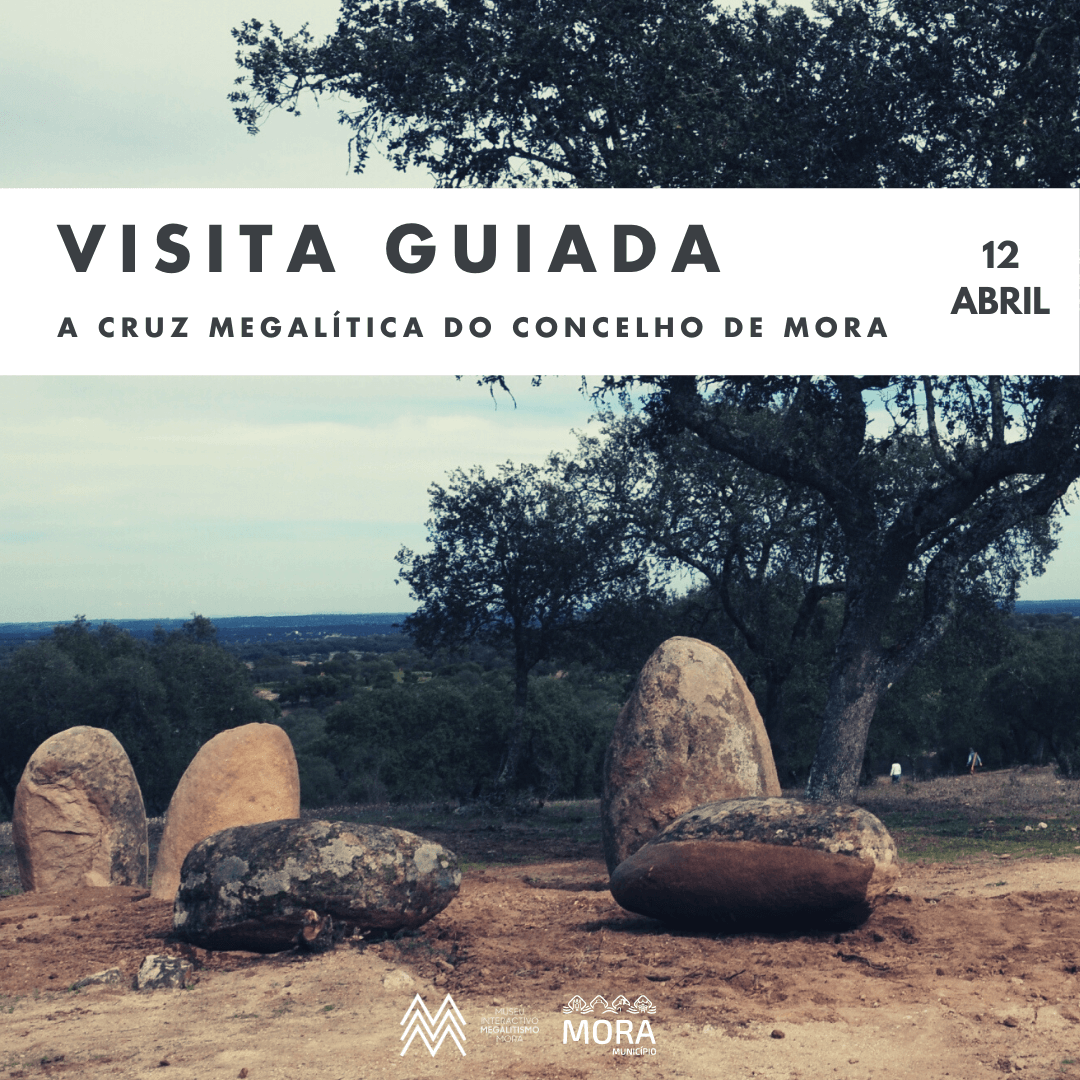 Visitas Guiadas Museu e Cruciforme Site