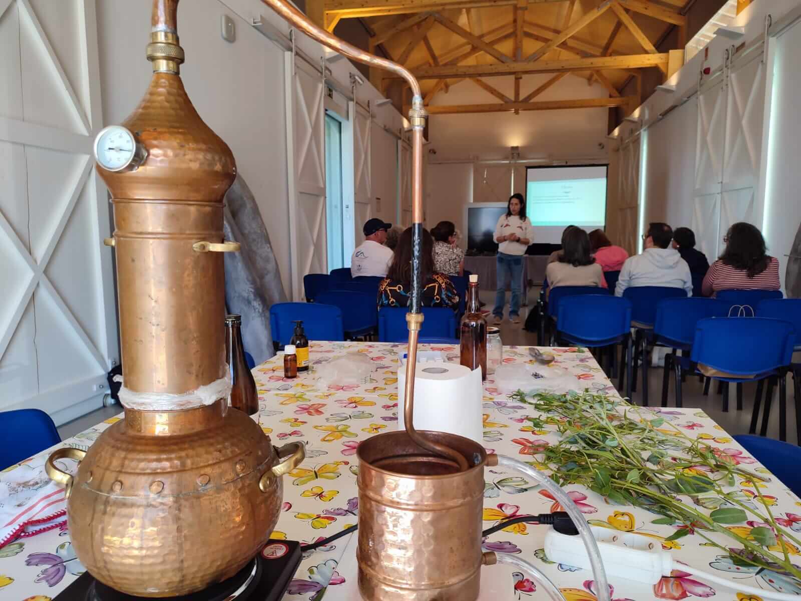 Workshop 8