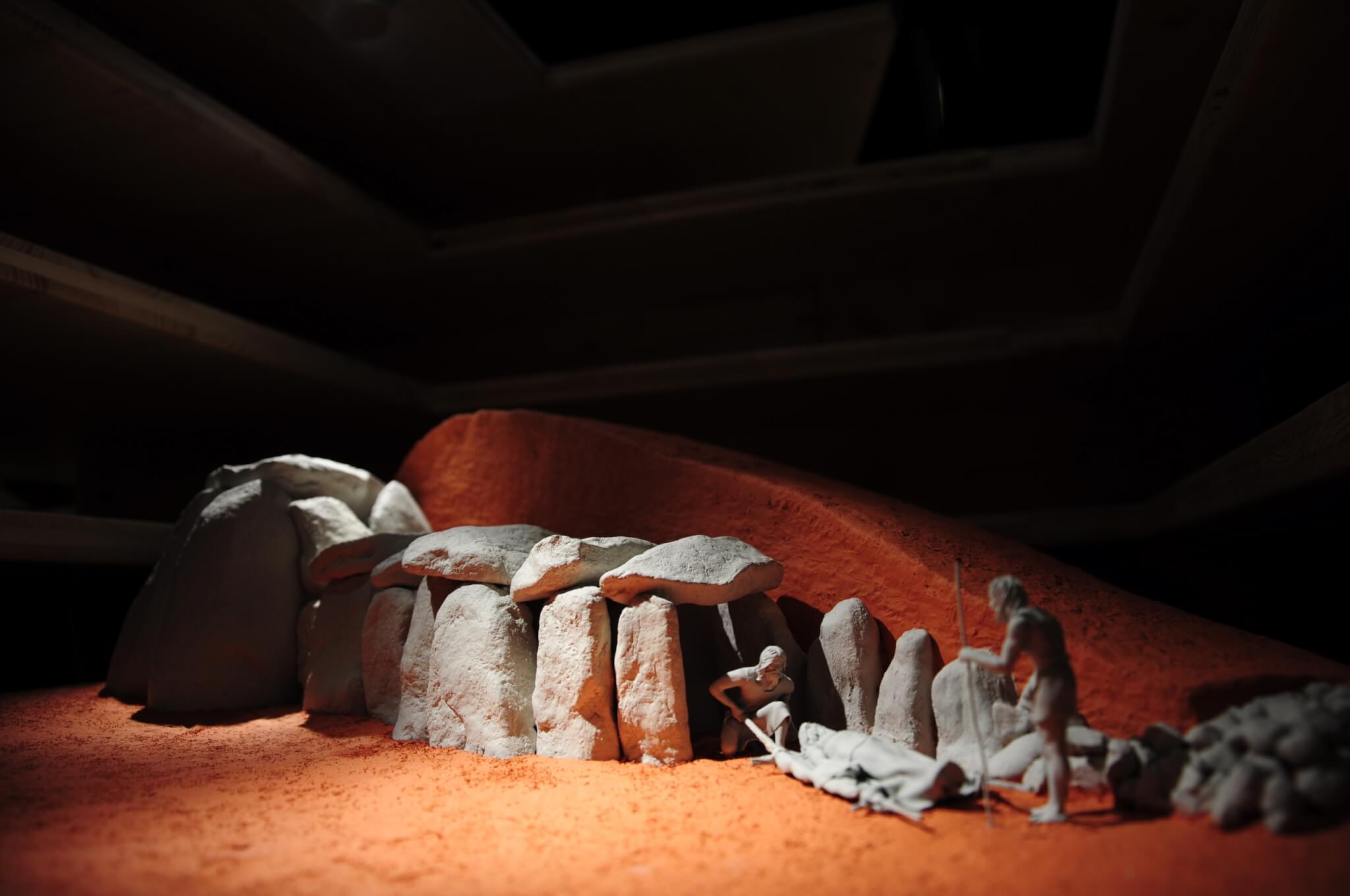 Representacao de uma Anta