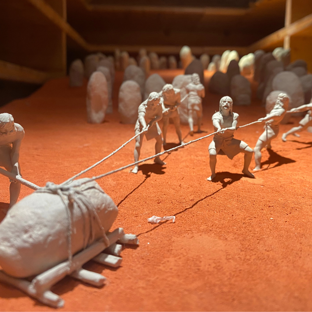 Horarios Festivos site Museu