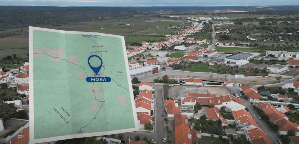 Imagem Programda TVI Vai dar uma curva Imagem Programda TVI Vai dar uma curva