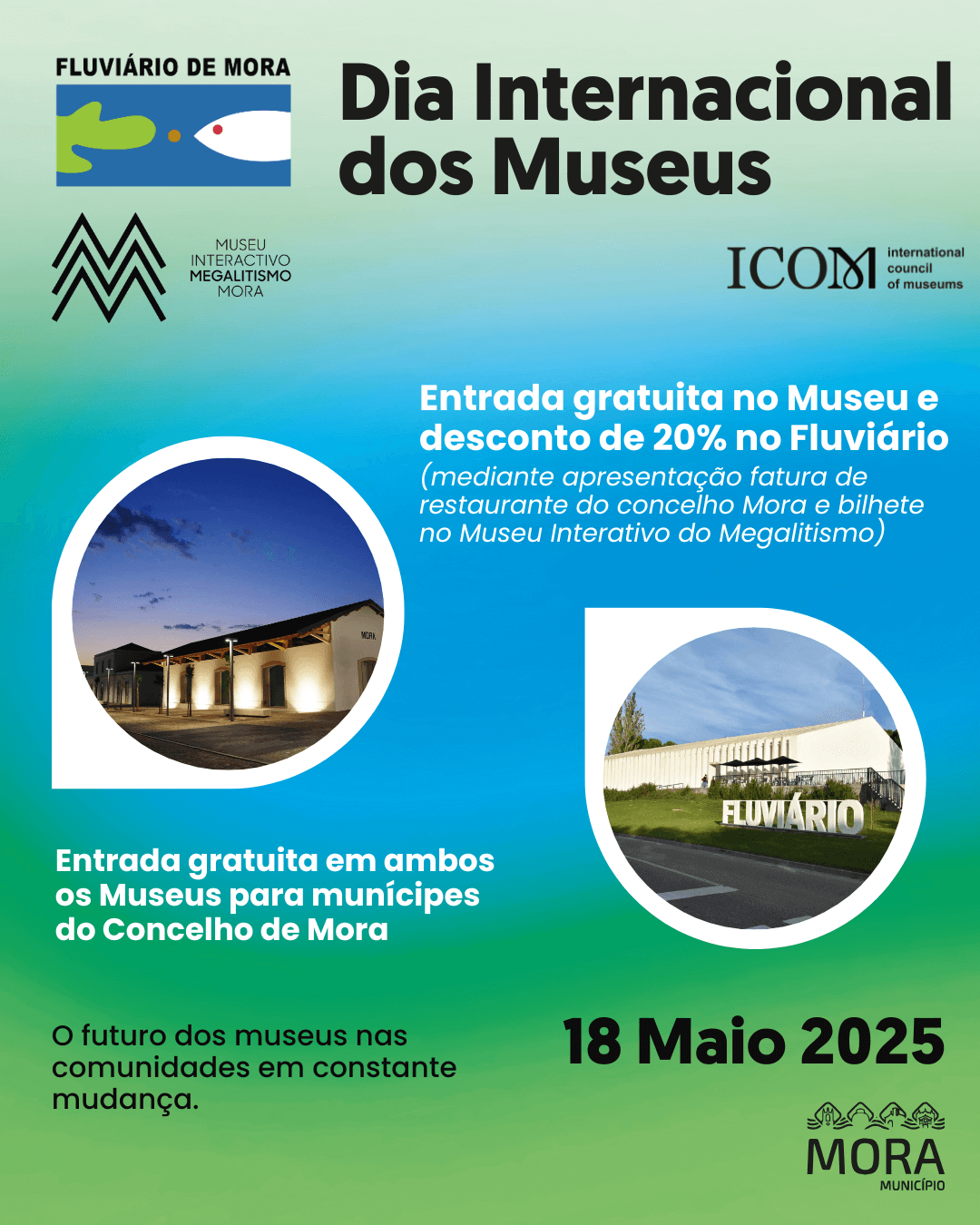 dia museus redes