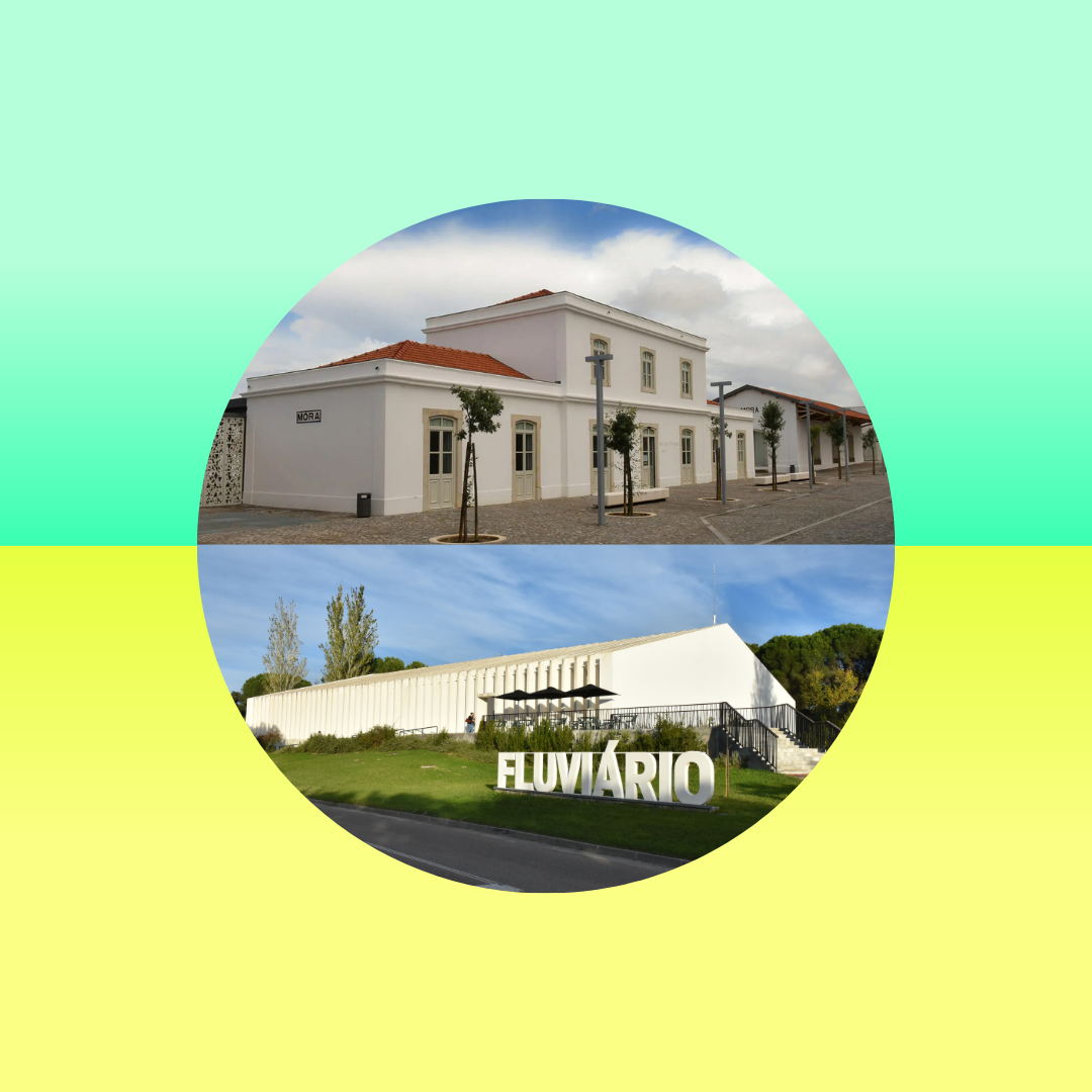 Dia Internacional dos Museus